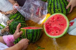 扬州吃瓜视频,探寻古城美食背后的趣味故事